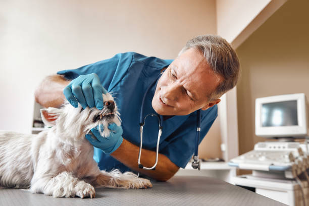 Best 24-Hour Dental Clinic Near Me  in Oak Hill, FL